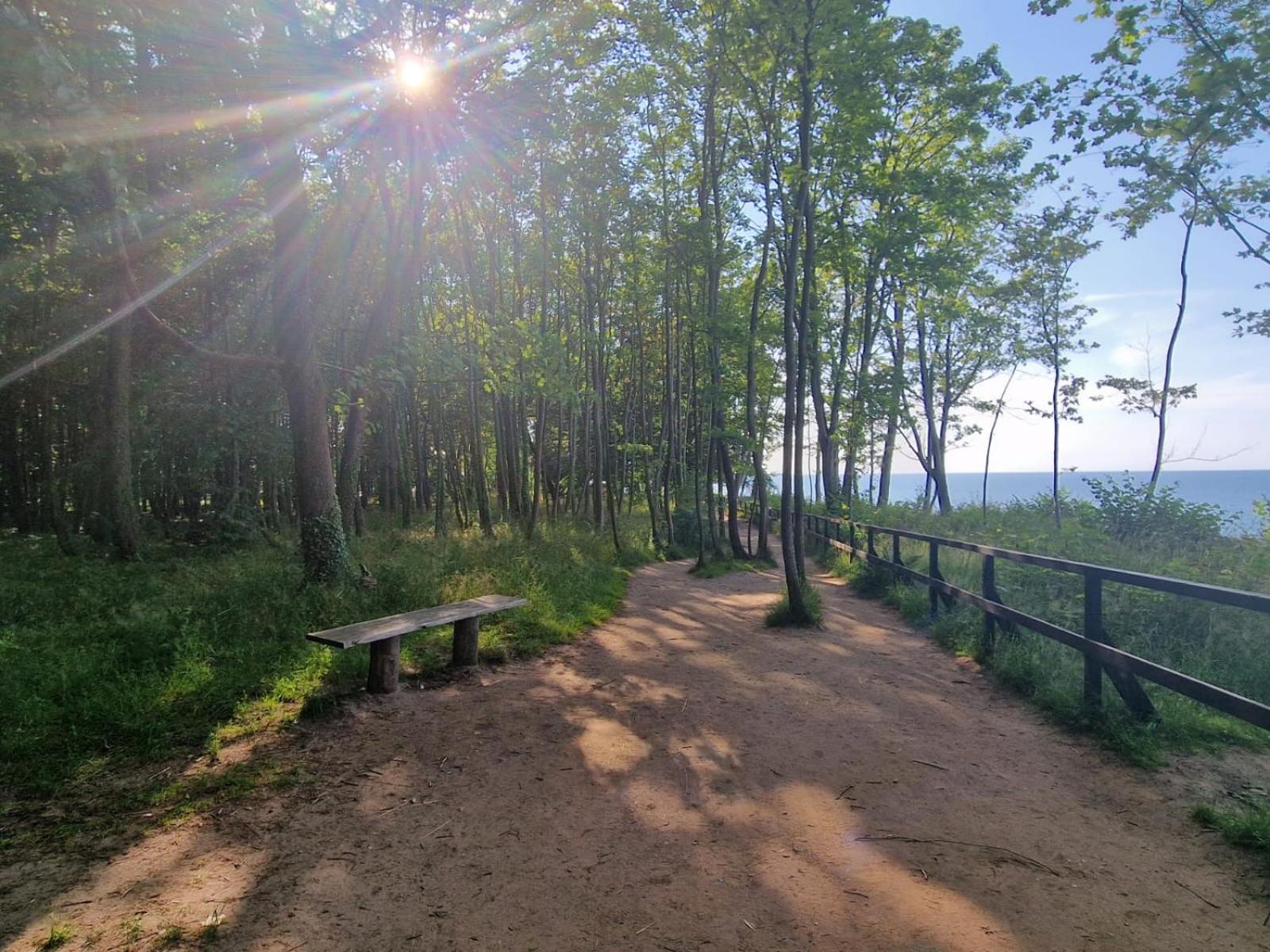 Jastrzębia Góra Osrodek Promenada- Faleza المظهر الخارجي الصورة