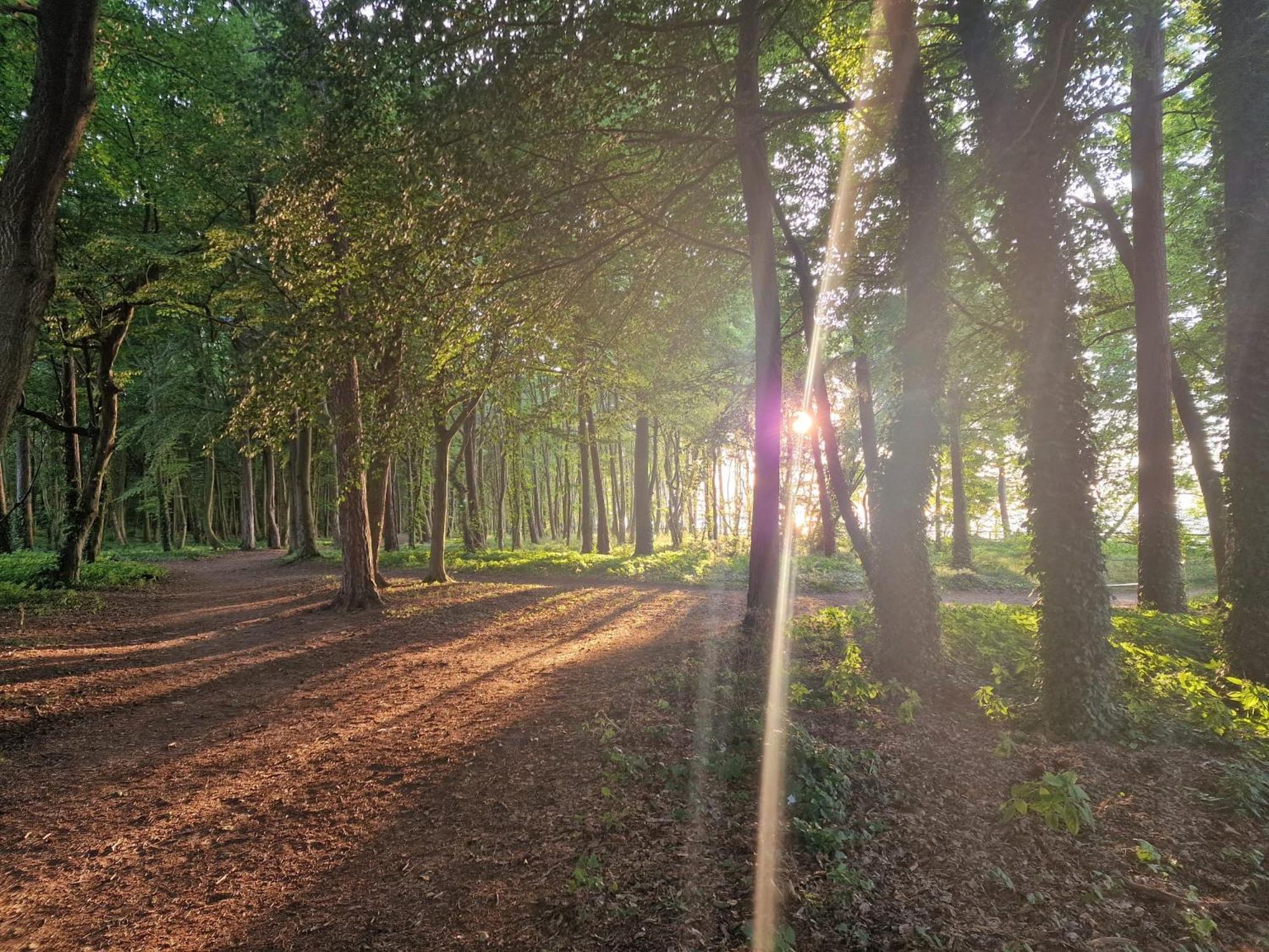 Jastrzębia Góra Osrodek Promenada- Faleza المظهر الخارجي الصورة